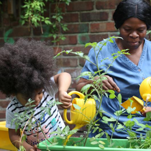 Staff and children watering garden with watering cans