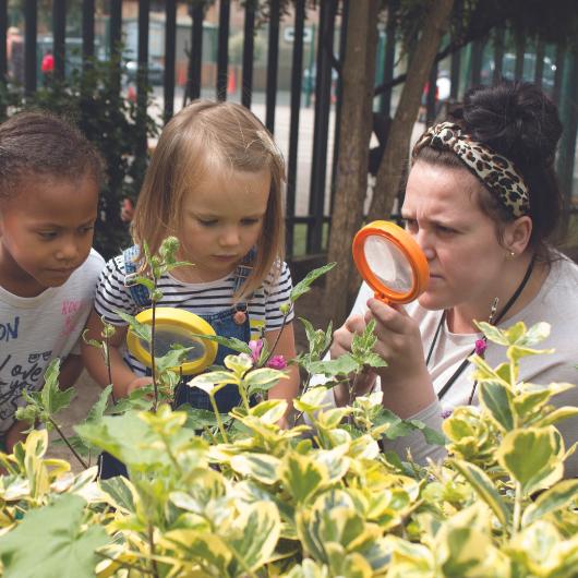 Staff and children looking at plants through magnifying glasses