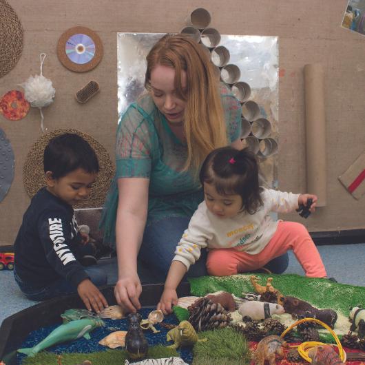 Children and staff member playing with animal provocation