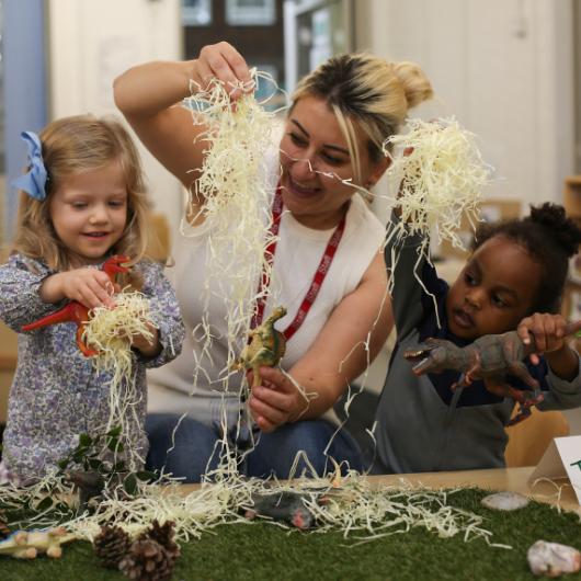 staff and children playing with some natural resources during a provocation