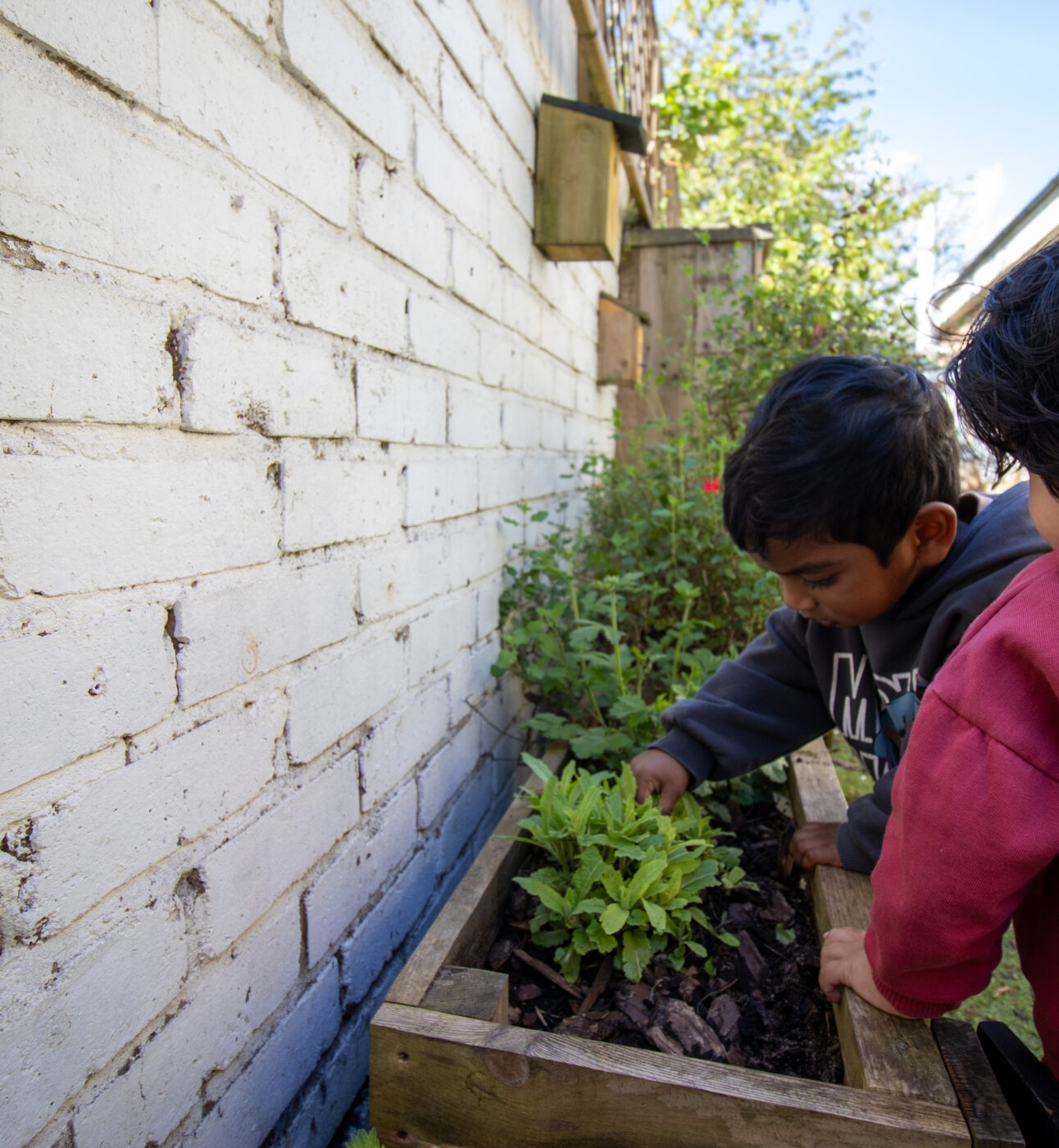 Sustainability at LEYF