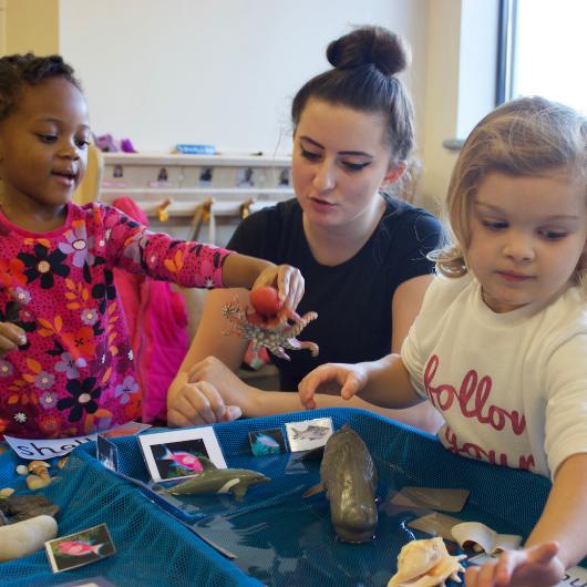 Children and teacher playing with animal provocation