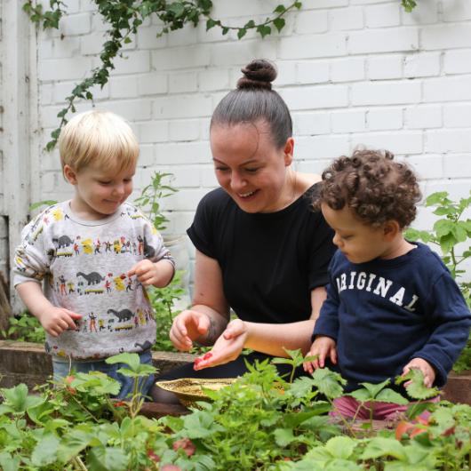 staff and child picking out some tomatoes from their garden