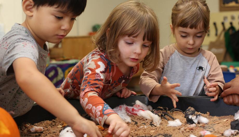 children playing with sand and little plastic animals