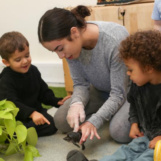 Staff and children looking at their nursery pet turtle