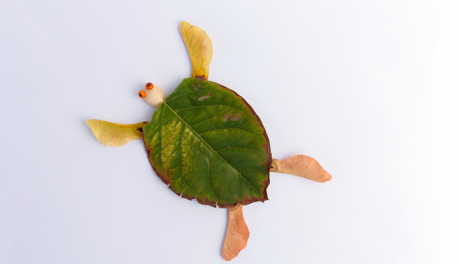 picture of a turtle made of leaves