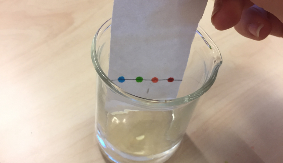 chromatography experiment with coloured dots of ink on a piece of paper inside a cup of water