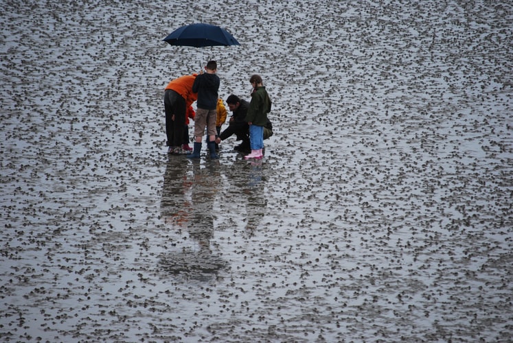 A group of children and adults on a beach under an umbrella