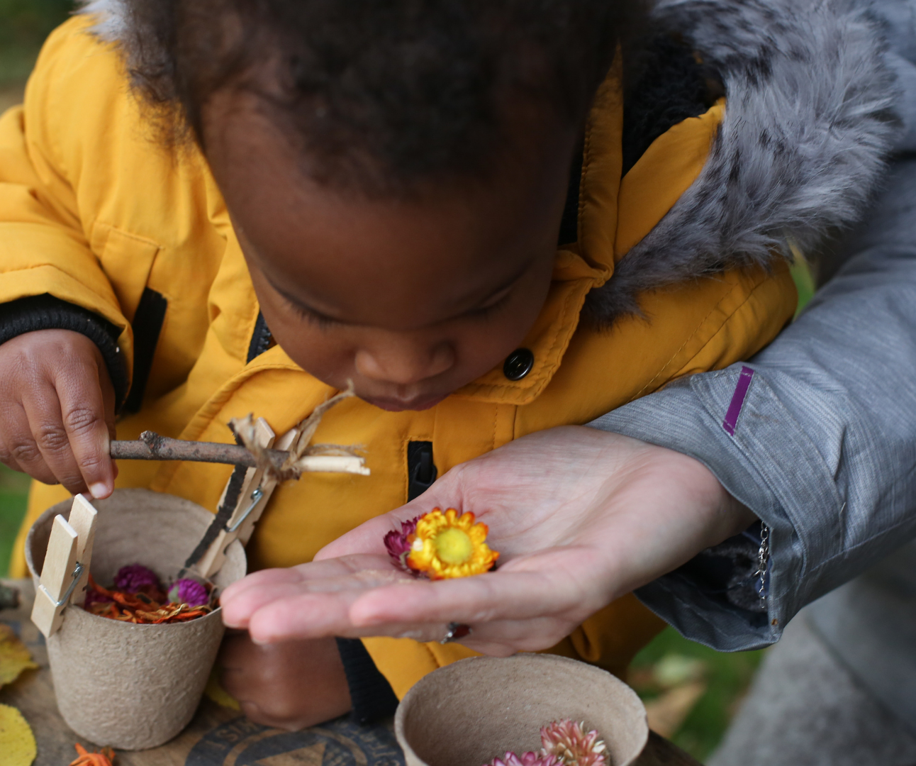 Picture of a child looking at a flower in a teacher's hand