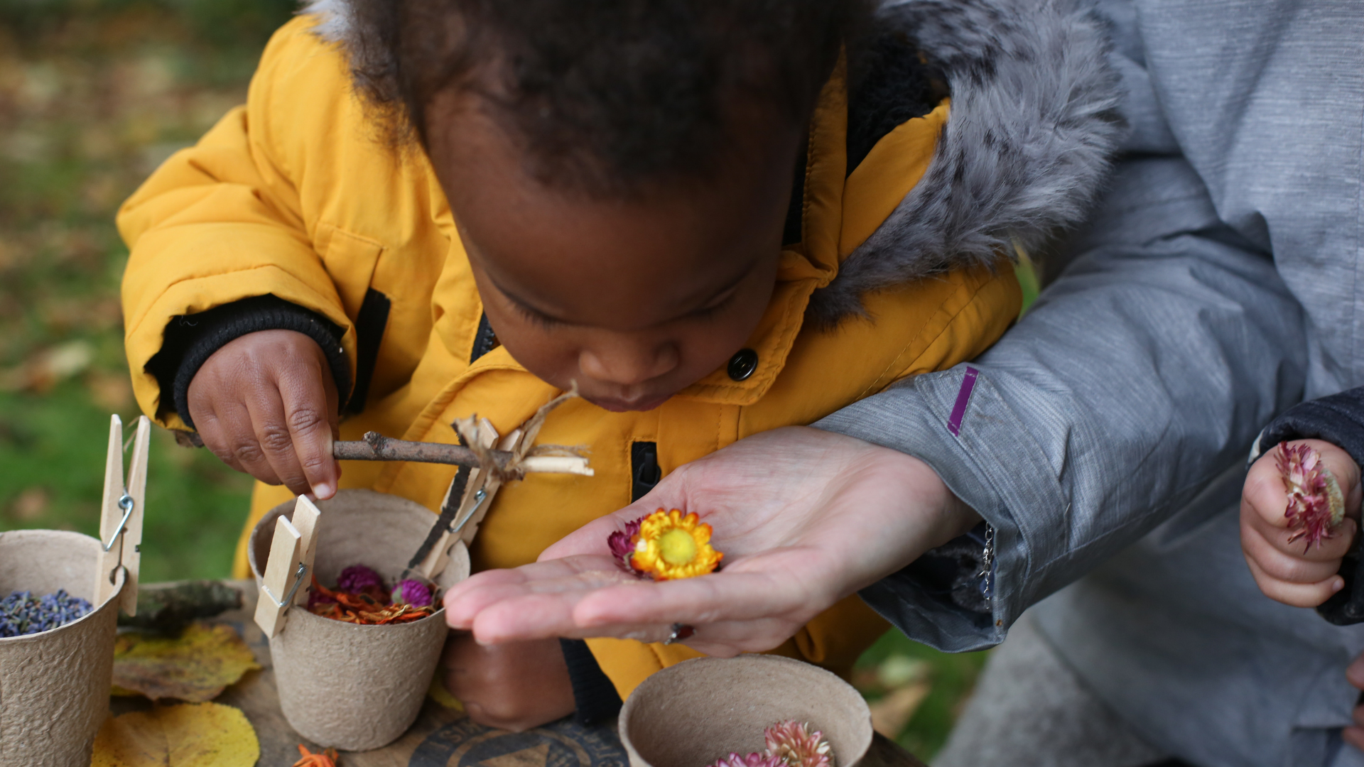 Picture of a child looking at a flower in a teacher's hand