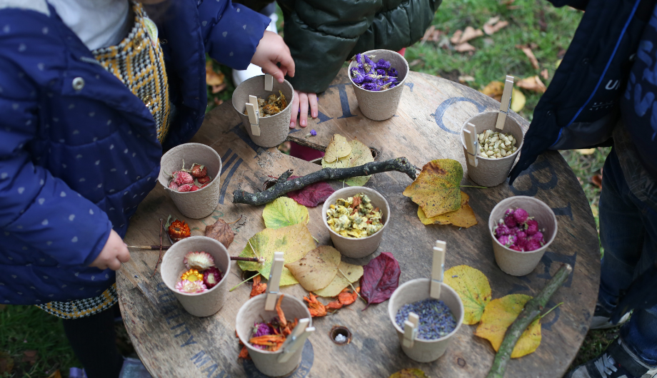 pots of flowers used in teaching children about sustainability