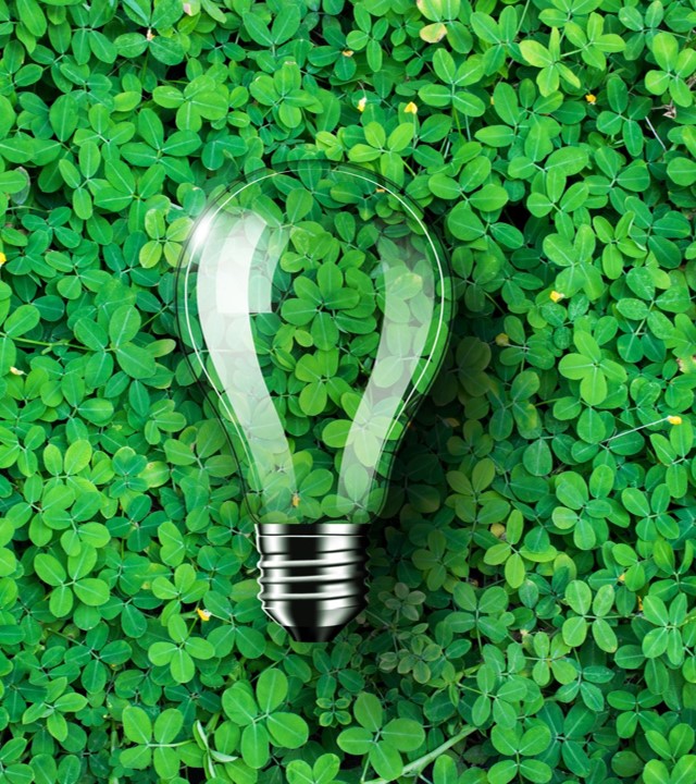 A clear lightbulb resting on greenery