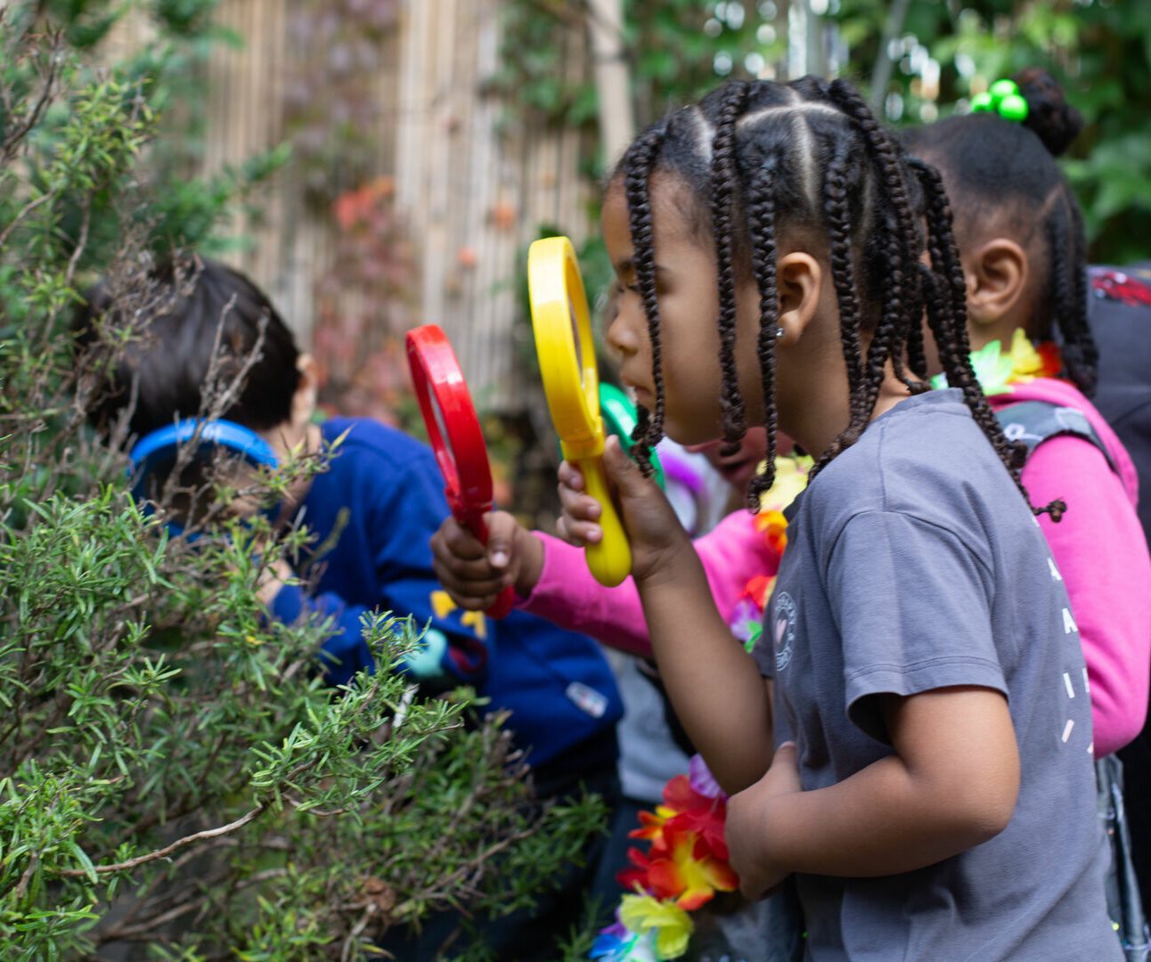 Children looking through magnifying glasses