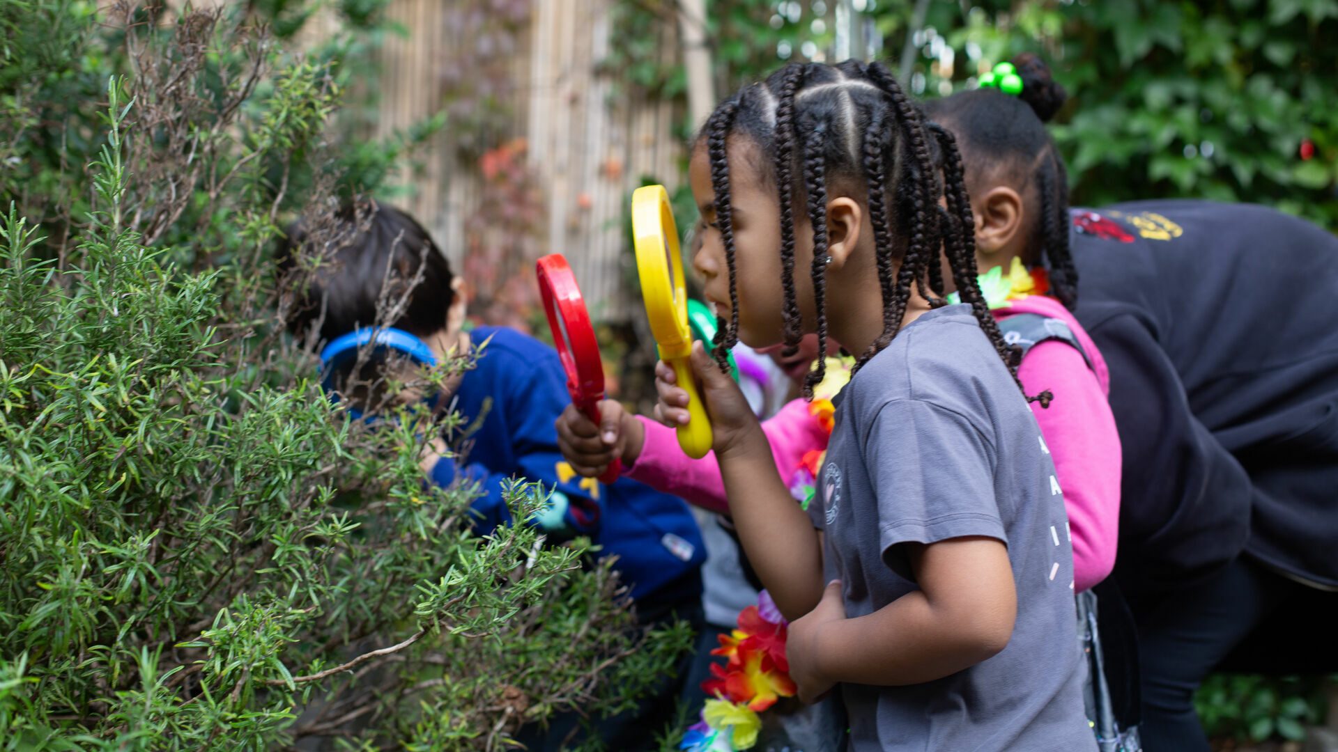 Children looking through magnifying glasses