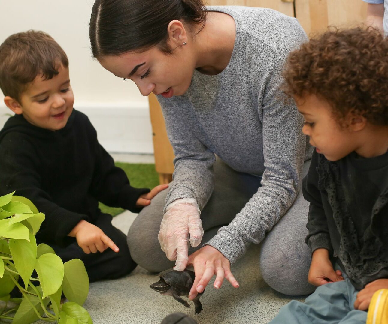 Staff and children looking at their nursery pet turtle