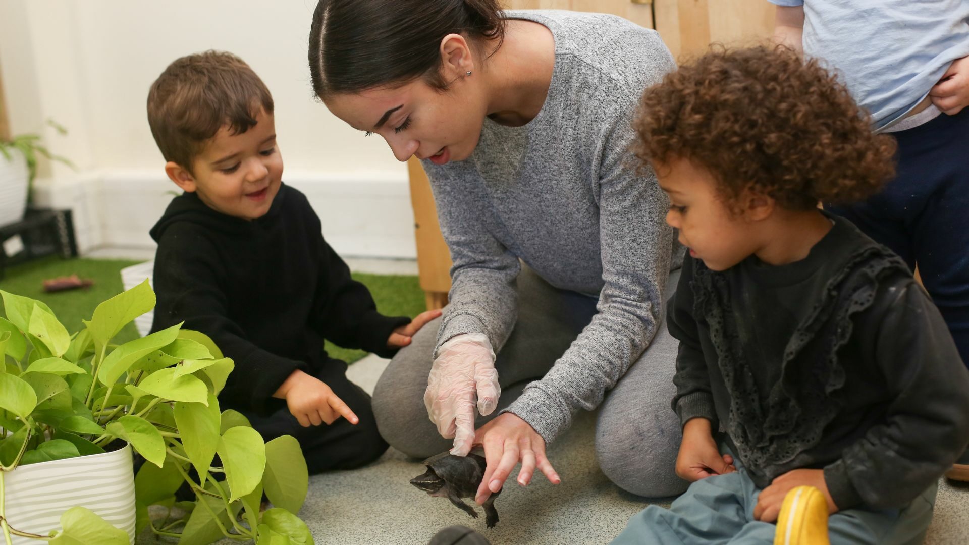 Staff and children looking at their nursery pet turtle