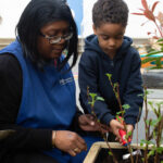 Teacher and a child engaged in planting in the garden.