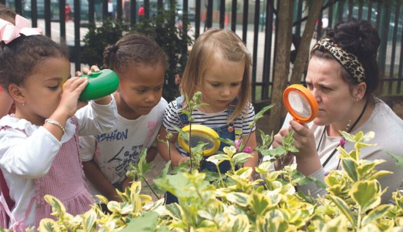 Staff member and three children investigating the leaves of a bush with magnifying glasses