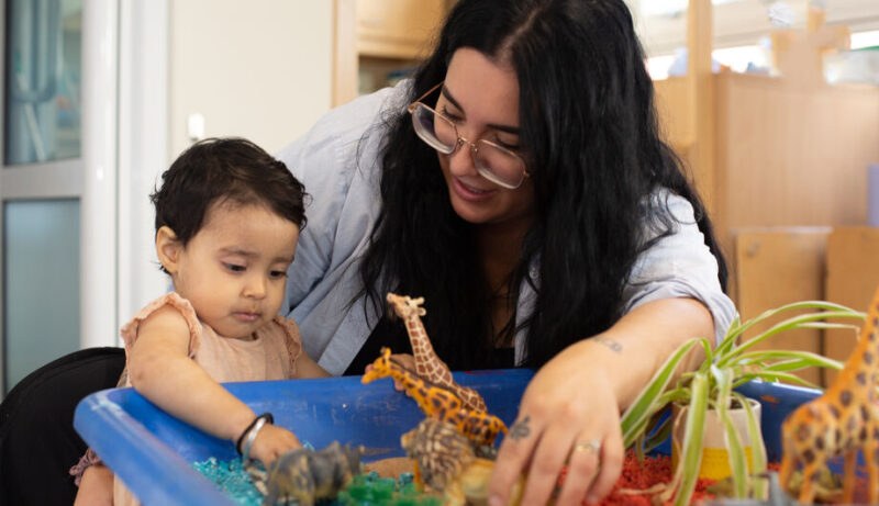 Staff and child playing with animals